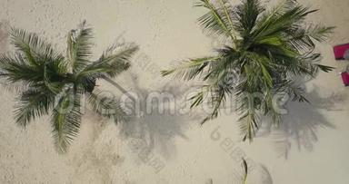 棕榈树和太阳伞的鸟瞰图